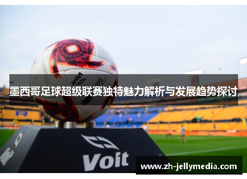墨西哥足球超级联赛独特魅力解析与发展趋势探讨